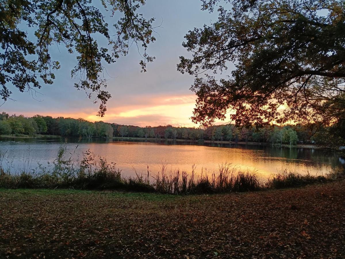 Moliere Villa Rekem Exteriör bild