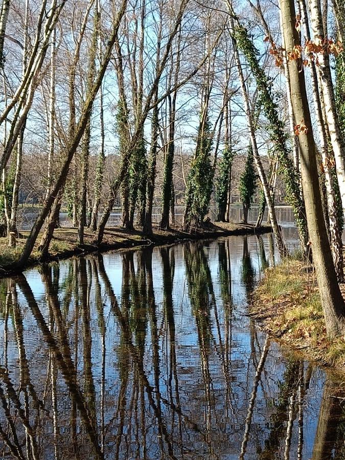 Moliere Villa Rekem Exteriör bild